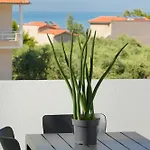 5 By Gd Apartament